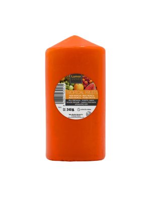 VELA FRUTAS TROPICALES 240 G