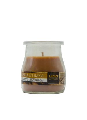 VELA PERFUMADA CANELA EN RAMA 100 G