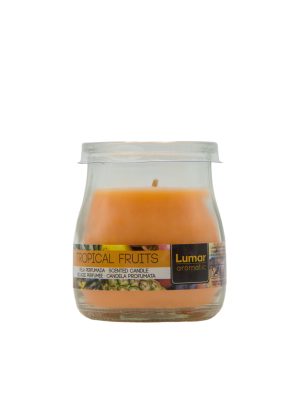 VELA PERFUMADA FRUTAS TROPICALES 100 G