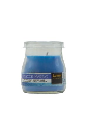 VELA PERFUMADA FRESCOR MARINO 100 G